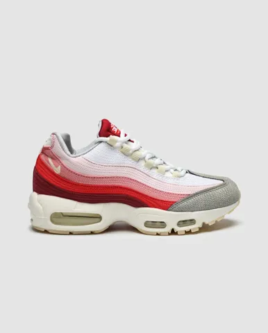 Nike Air Max 95 Anatomy Of Air