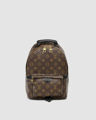 Louis Vuitton Palm Springs PM Brown/Gold