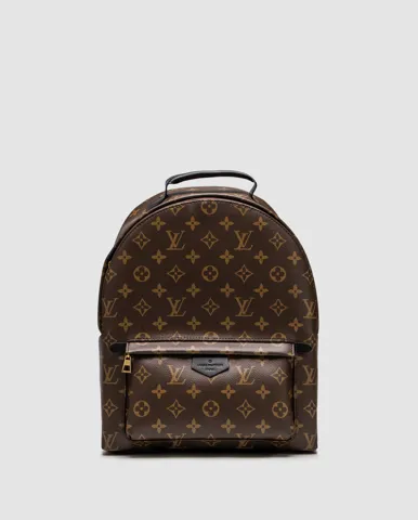 Louis Vuitton Palm Springs MM Brown/Black