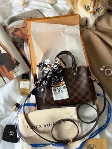 Louis Vuitton Speedy Nano Brown/Chess (Коробка магніт)